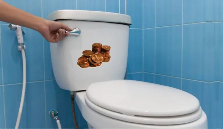 How Much Does It Cost To Flush A Toilet?